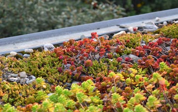 the cost of Portmeirion green roof installation