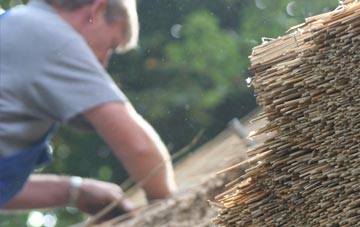 professional Portmeirion thatchers